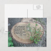 Schrift Postkarte (Vorne/Hinten)