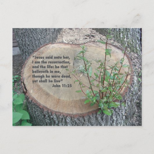 Schrift Postkarte (Vorderseite)