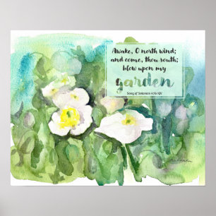 Schrift Song of Solomon Weiße Mohnblumen  Poster