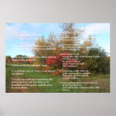 Schriftvorlage, Psalm 23, Vaterunser Poster (Vorne)