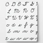 Schriftzeichen Fotoplatte (Vorderseite)