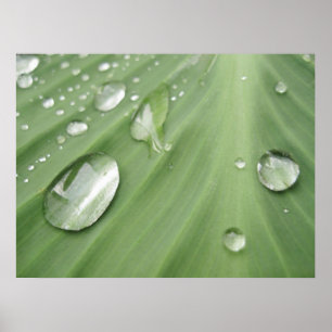 Schritt für Schritt Poster