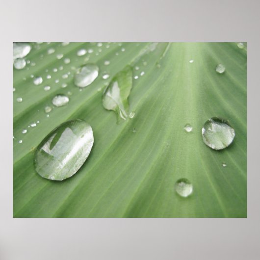 Schritt für Schritt Poster (Vorne)