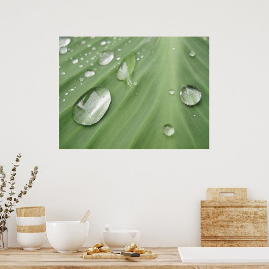 Schritt für Schritt Poster (Küche)