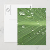 Schritt für Schritt Postkarte (Vorne/Hinten)