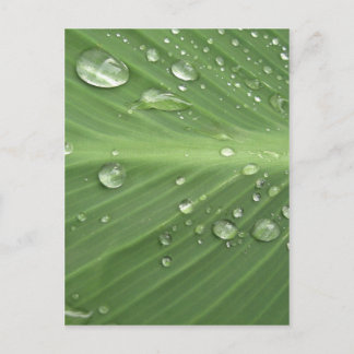 Schritt für Schritt Postkarte