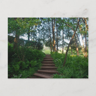 Schritte auf einem Naturwanderweg Postkarte