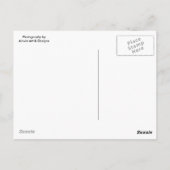 Schritte... Postkarte (Rückseite)