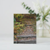 Schritte zum Applaachian Trail Postkarte (Stehend Vorderseite)