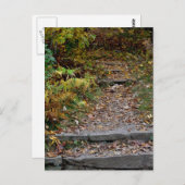 Schritte zum Applaachian Trail Postkarte (Vorne/Hinten)