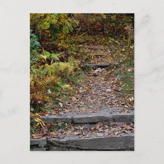 Schritte zum Applaachian Trail Postkarte (Vorderseite)