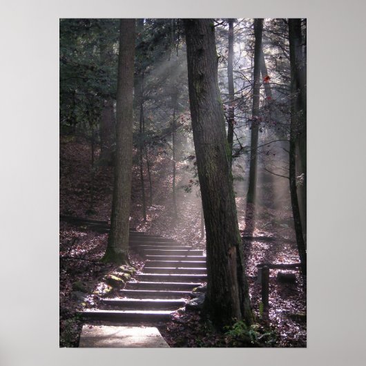 Schritte zur Erleuchtung Poster (Vorne)