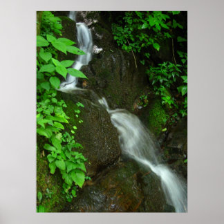 schrittweises Wachstum Poster