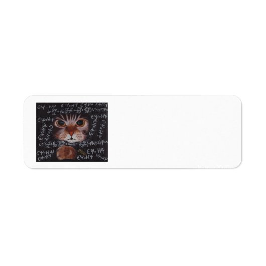 SCHRÖDINGER CAT (Vorne)