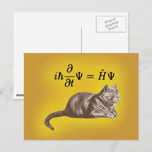Schrodinger Cat Postkarte (Vorne/Hinten)