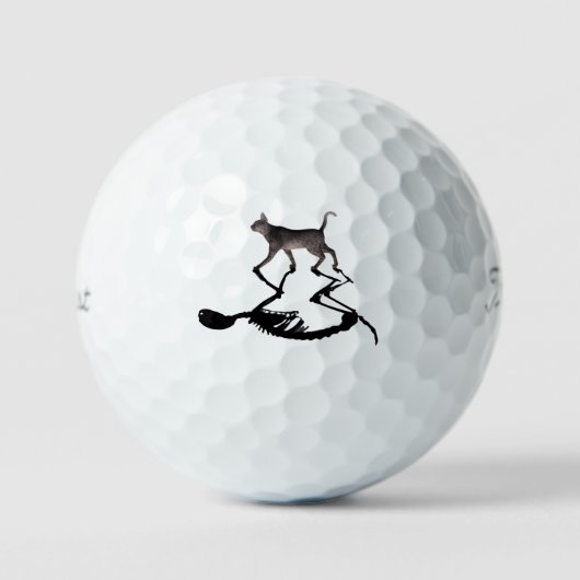 Schrodinger Cat Titliest Pro 3 Pack Golfball (Vorderseite)