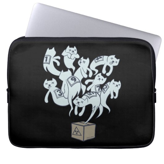 Schrödinger Katze 9 Leben Laptopschutzhülle (Vorderseite)