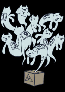 Schrodingers Cat Tumblr