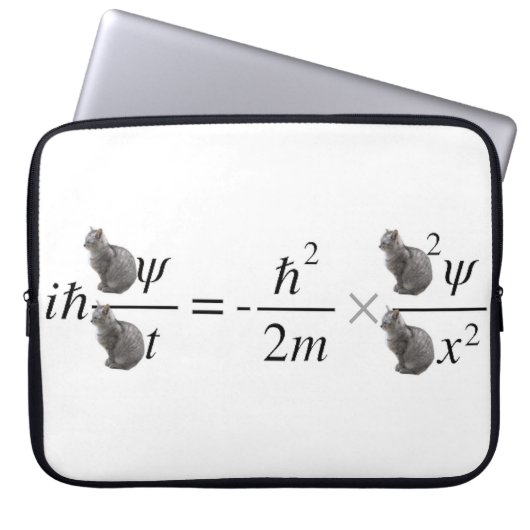 Schrodinger-Katze Laptopschutzhülle (Vorderseite)