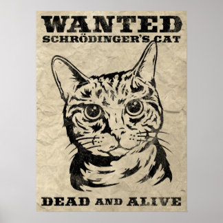 Schrodinger-Katze wollte tot oder lebendig Poster