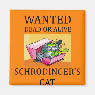 Schrodinger-Katzenwitz Magnet