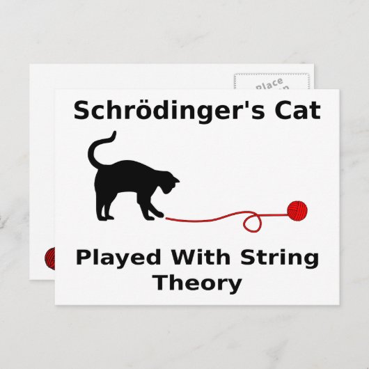 Schrödinger’s Cat Played With String Theory Postkarte (Vorne/Hinten)