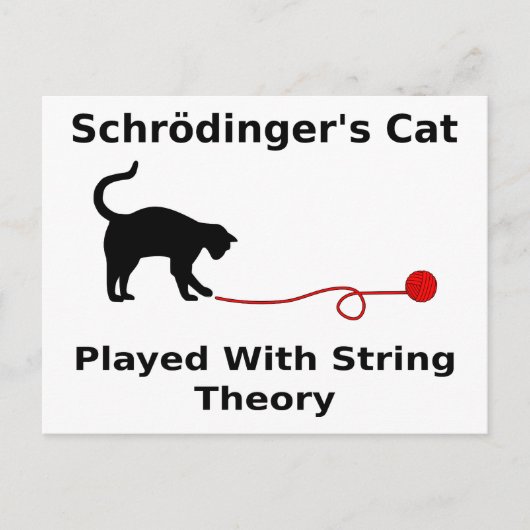 Schrödinger’s Cat Played With String Theory Postkarte (Vorderseite)