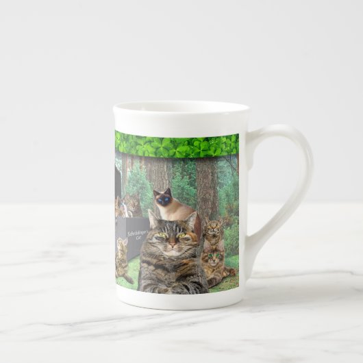 Schrodingers Cat Bone China Tasse (Rechts)