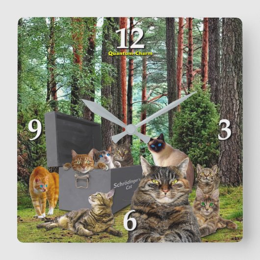 Schrodingers Cat Clock Quadratische Wanduhr (Vorderseite)