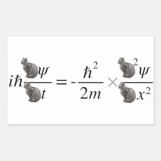 Schrodinger's cat rechteckiger aufkleber (Vorderseite)