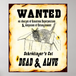 Schrodingers "Gewollt" Plakat