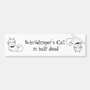 Schrödingers Katze Autoaufkleber