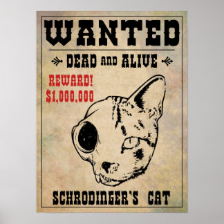 Schrodingers Katze Gewollt II Poster