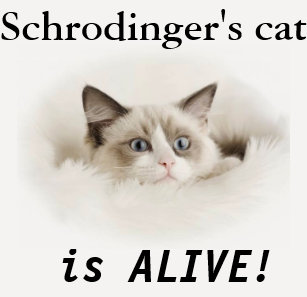 Schrodinger S Cat Adleiavde T Shirt Getdigital