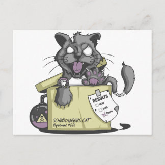 Schrodingers Katze - neu Postkarte