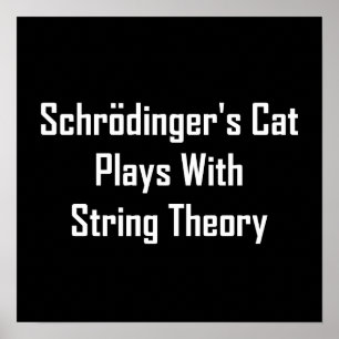 Schrodingers Katze spielt mit String-Theorie Poster