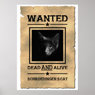 Schroedingers Katze Gewollt Poster   Physik Joke