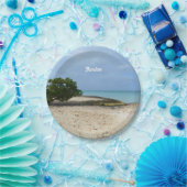 Schroffes Aruba Pappteller (Party)