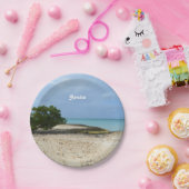 Schroffes Aruba Pappteller (Party)