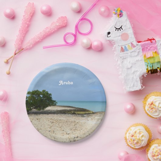 Schroffes Aruba Pappteller (Party)