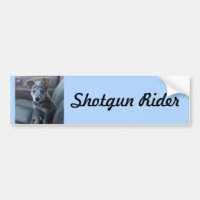 "Schrotflinte-Reiter" blauer Heeler