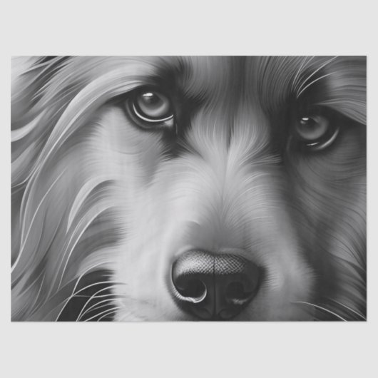 SCHRUCHTFÖRDERHUNDE, SCHWARZ UND WEISS SEIDENPAPIER (Vorderseite)