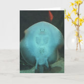 Schrullige Mantarochen-Gruß-Karte Karte (Gelbe Blume)