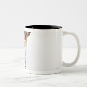 Schrulliges Porträt Teacup-Chihuahua Zweifarbige Tasse