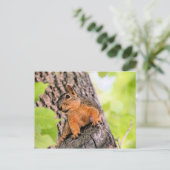 schüchtern feiertagspostkarte (Stehend Vorderseite)