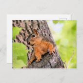 schüchtern feiertagspostkarte (Vorne/Hinten)