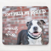 "Schüchtern Sie nicht meine Zucht-" Pitbull Mousepad (Vorne)