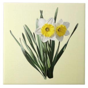 Schüchterne kleine Narzisse Fliese
