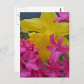 schüchterne Narzisse Postkarte (Vorne/Hinten)