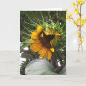 Schüchterne Sonnenblume-Anmerkungs-Karte Karte (Gelbe Blume)